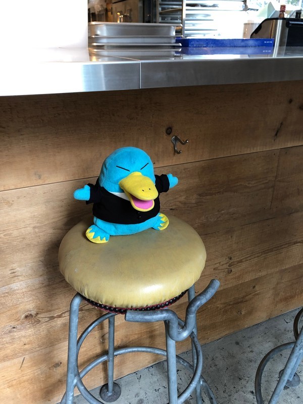 f:id:eo64air:20190217130628j:plain