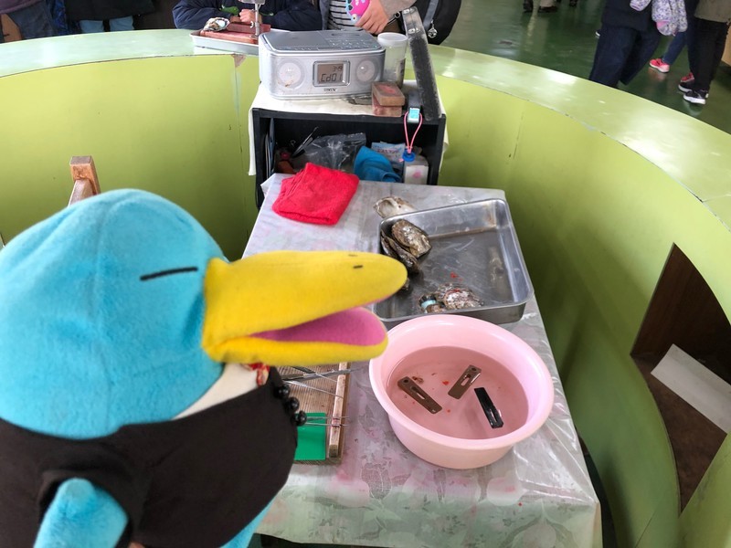f:id:eo64air:20190402140323j:plain