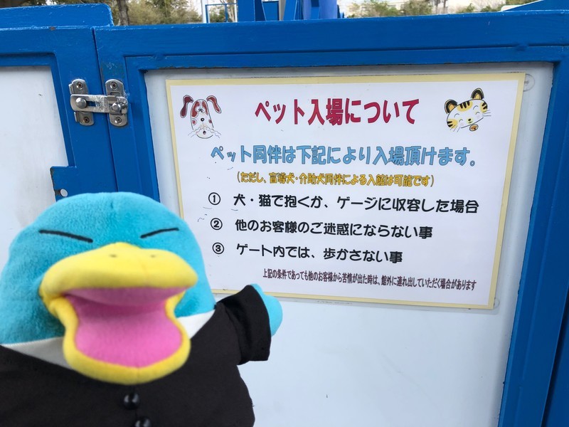 f:id:eo64air:20190402150052j:plain