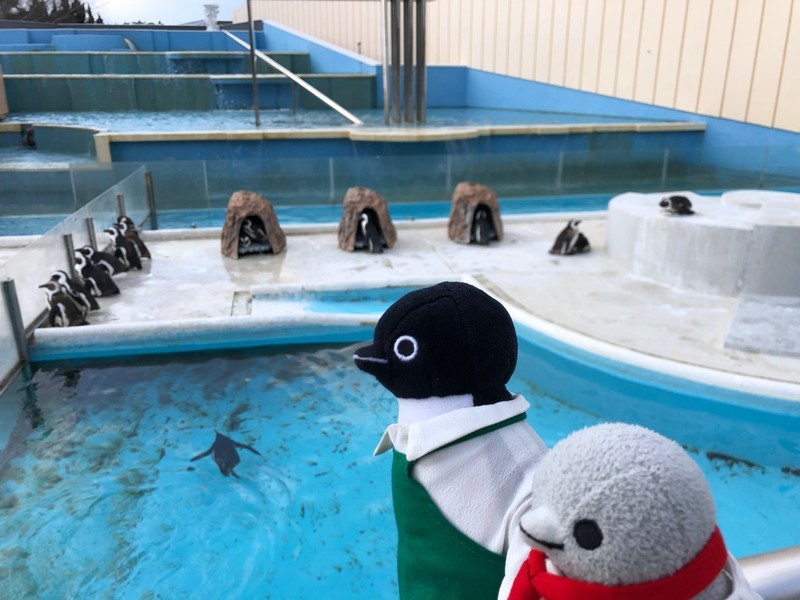 f:id:eo64air:20190402150218j:plain
