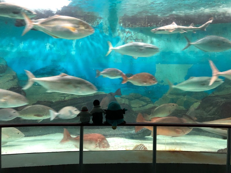 f:id:eo64air:20190402152802j:plain