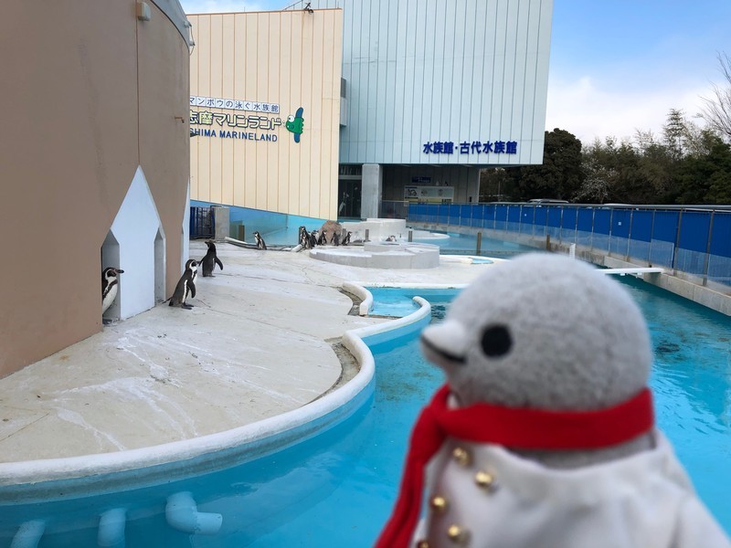 f:id:eo64air:20190402154010j:plain