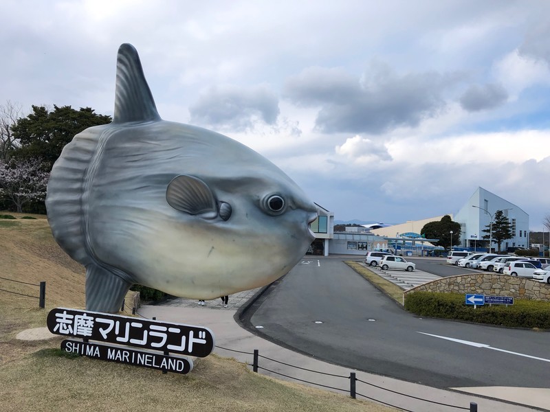 f:id:eo64air:20190402154138j:plain