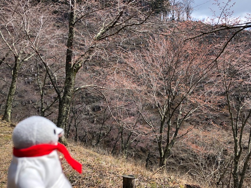 f:id:eo64air:20190415102121j:plain
