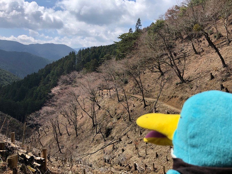 f:id:eo64air:20190415102414j:plain