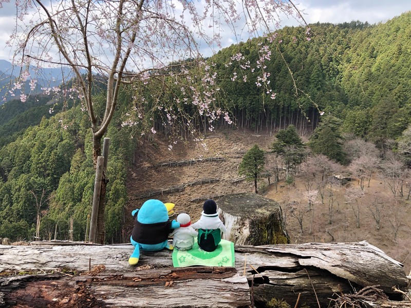 f:id:eo64air:20190415102852j:plain