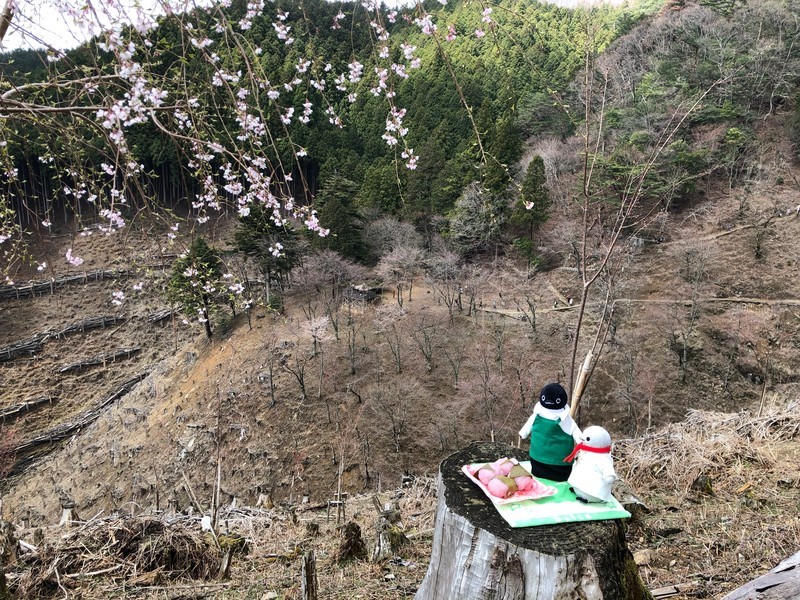 f:id:eo64air:20190415103056j:plain