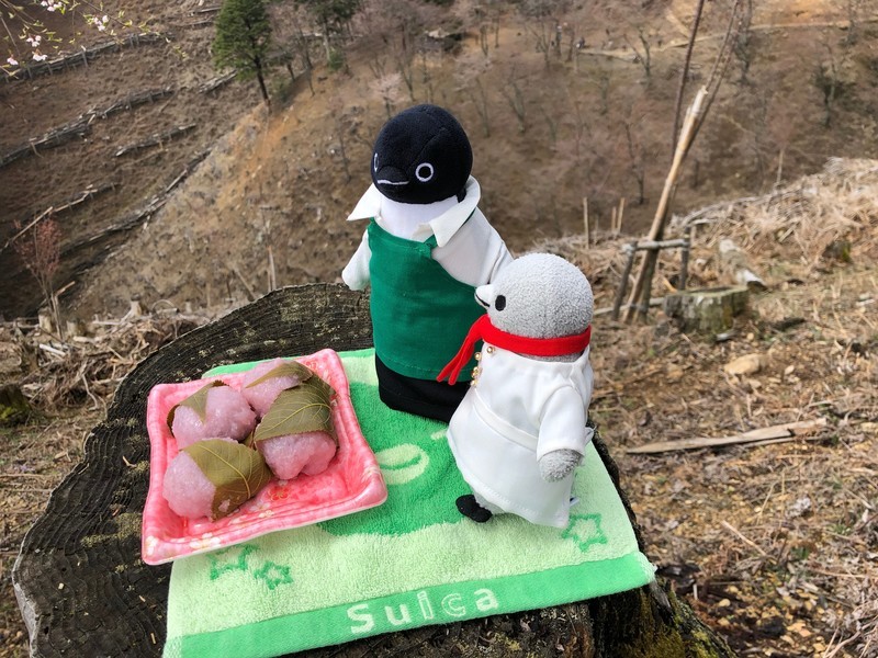 f:id:eo64air:20190415103110j:plain