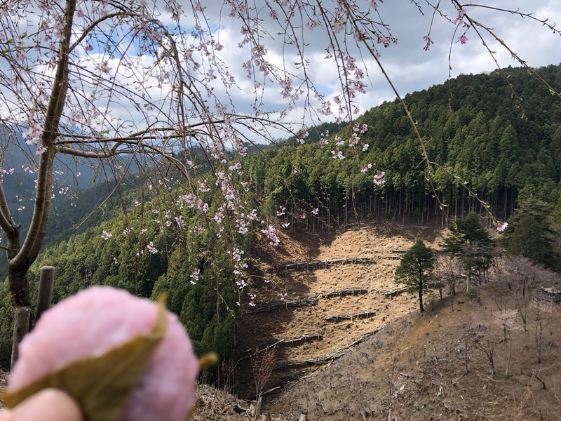 f:id:eo64air:20190415103208j:plain
