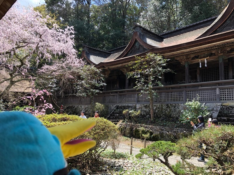 f:id:eo64air:20190415111418j:plain