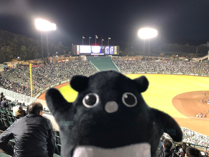f:id:eo64air:20190418191322j:plain