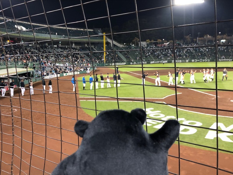 f:id:eo64air:20190418211430j:plain f:id:eo64air:20190418211430j:plain