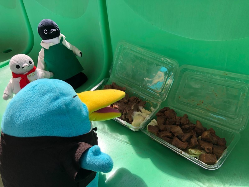 f:id:eo64air:20190427150738j:plain