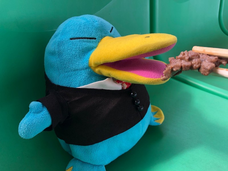 f:id:eo64air:20190427151002j:plain