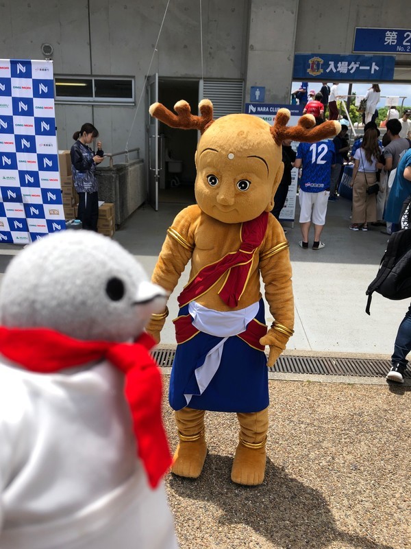 f:id:eo64air:20190519122558j:plain