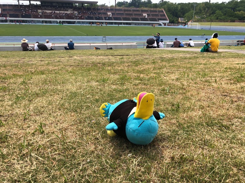 f:id:eo64air:20190526135331j:plain