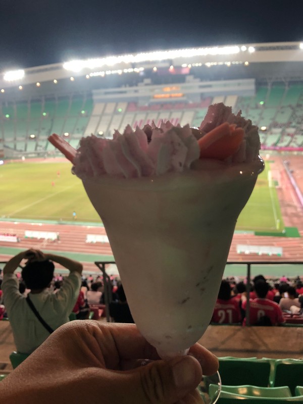 f:id:eo64air:20190626200916j:plain