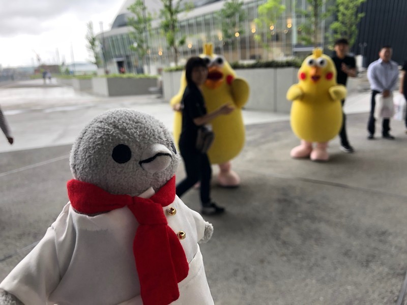 f:id:eo64air:20190629135604j:plain