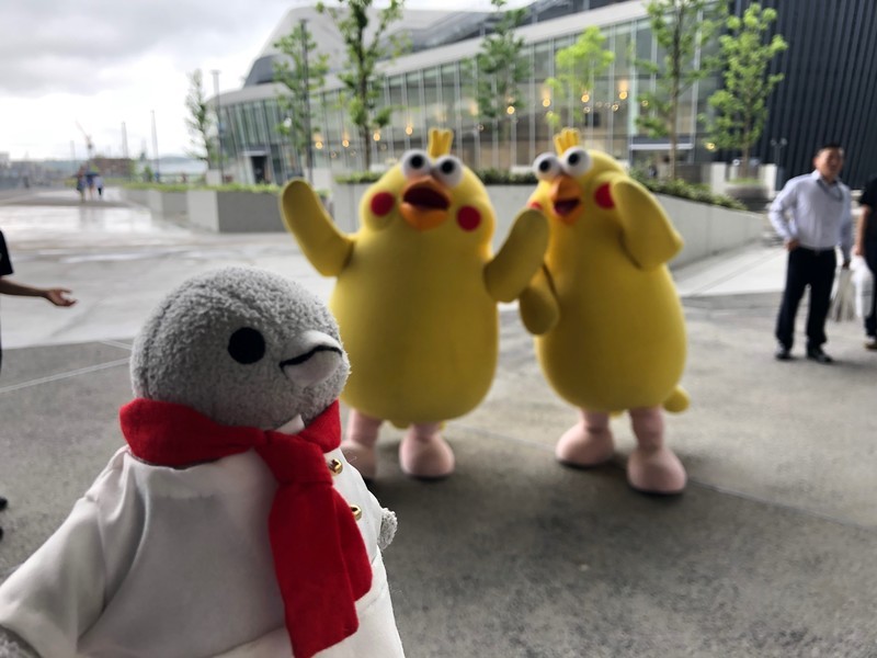 f:id:eo64air:20190629135613j:plain