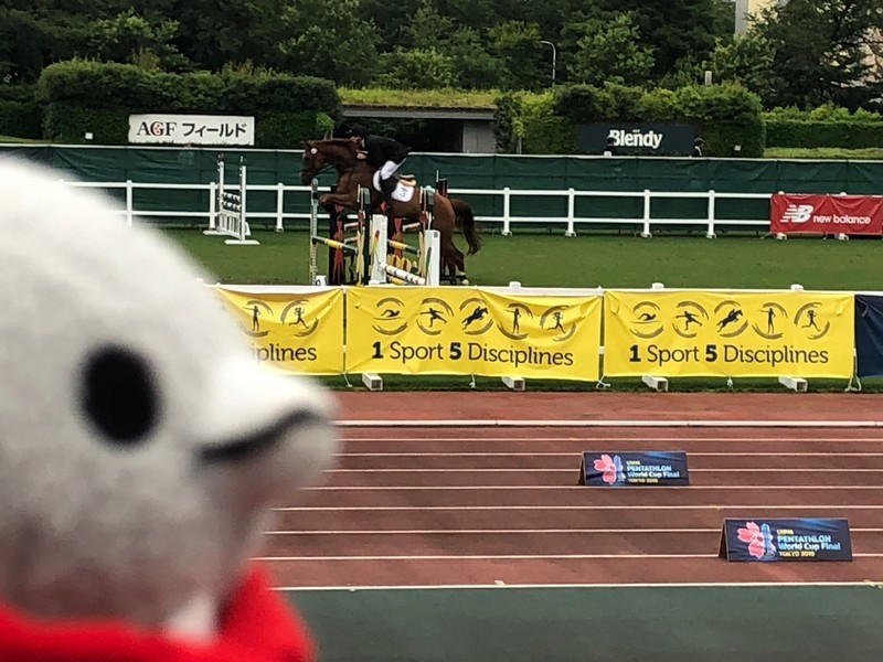 f:id:eo64air:20190629163730j:plain