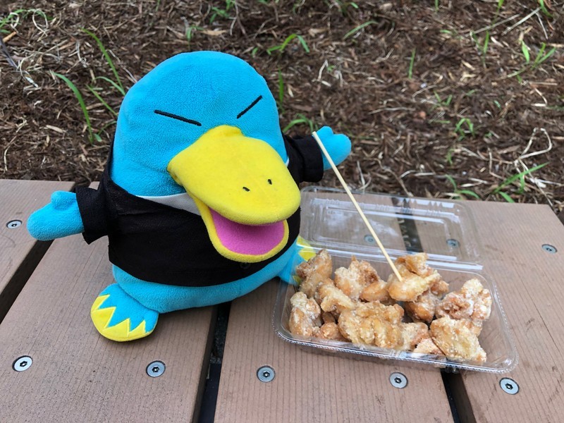 f:id:eo64air:20190710172636j:plain