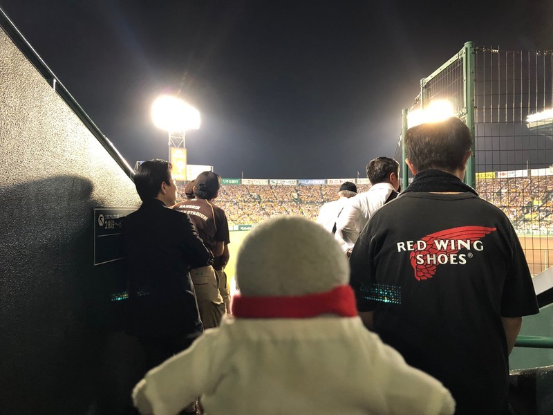 f:id:eo64air:20190710203655j:plain