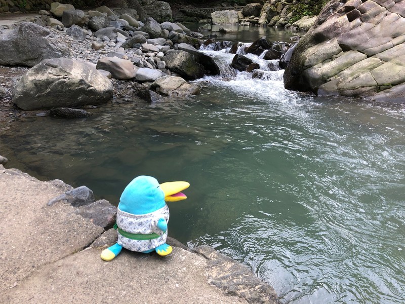 f:id:eo64air:20190731085856j:plain