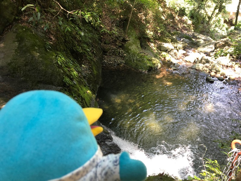 f:id:eo64air:20190731101734j:plain