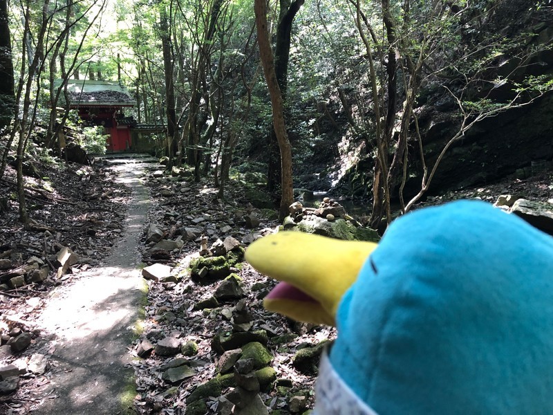f:id:eo64air:20190731103149j:plain