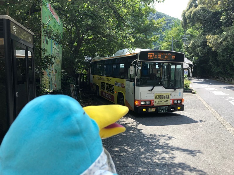 f:id:eo64air:20190731104501j:plain