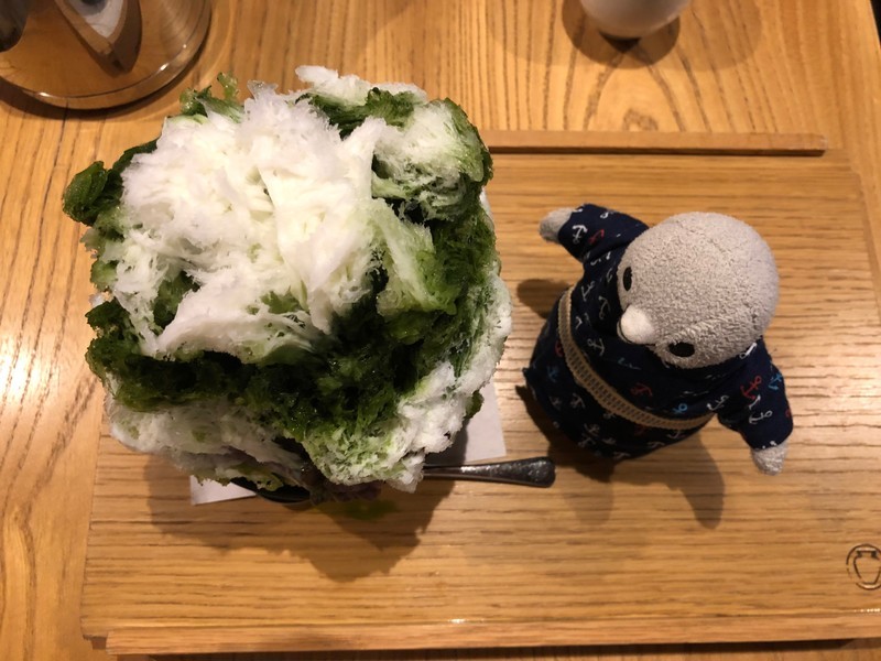 f:id:eo64air:20190807182248j:plain f:id:eo64air:20190807182248j:plain