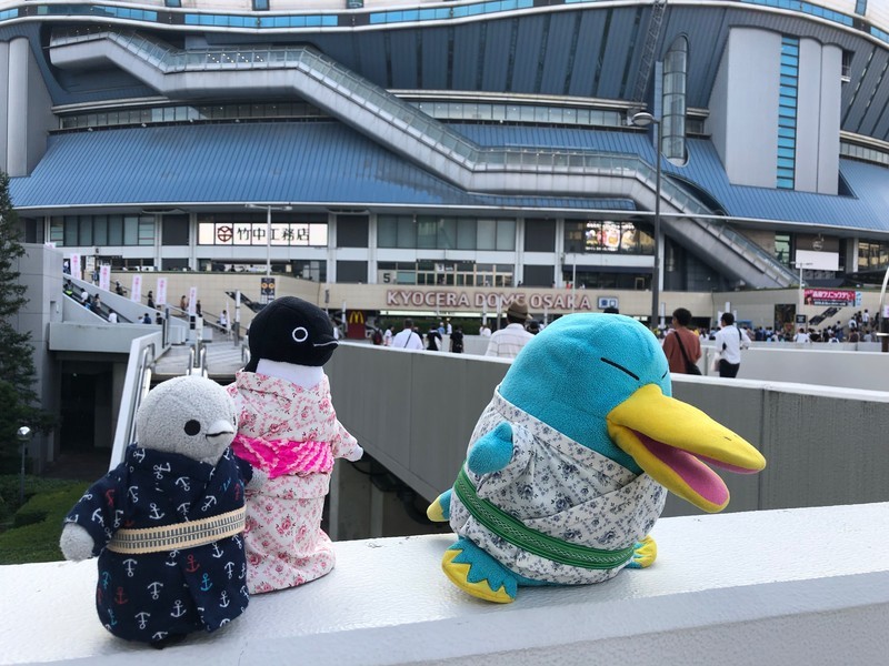 f:id:eo64air:20190816171327j:plain