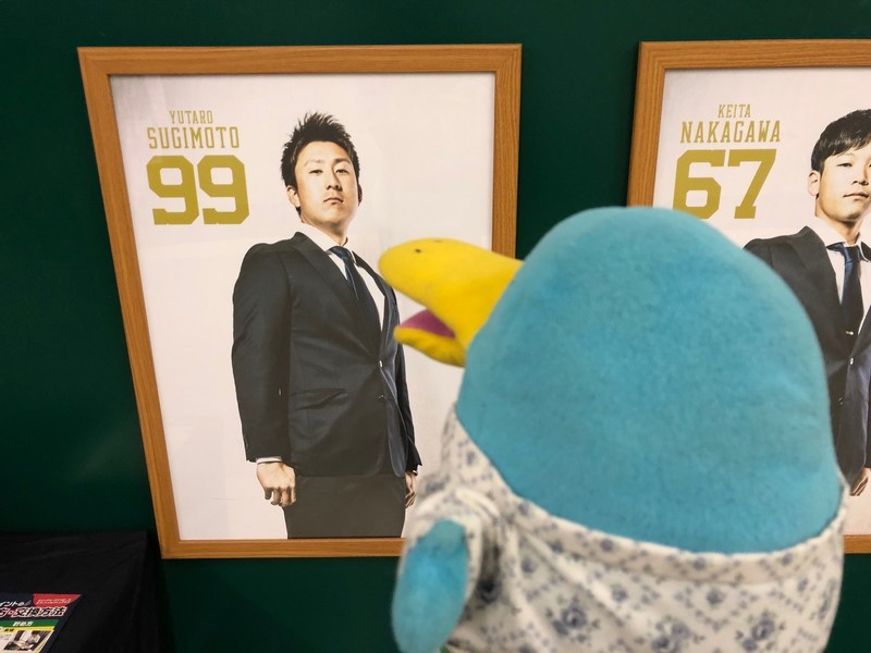 f:id:eo64air:20190816174056j:plain