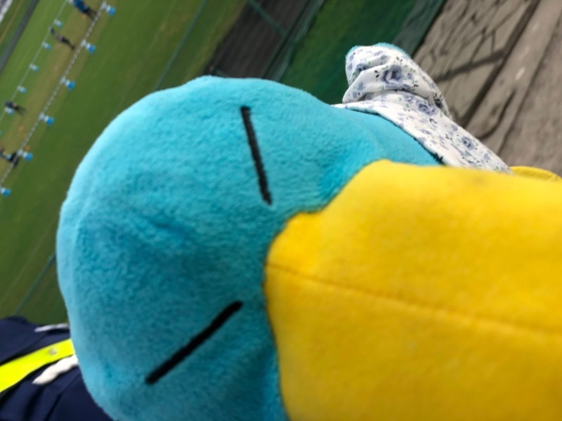 f:id:eo64air:20190922163828j:plain f:id:eo64air:20190922163828j:plain