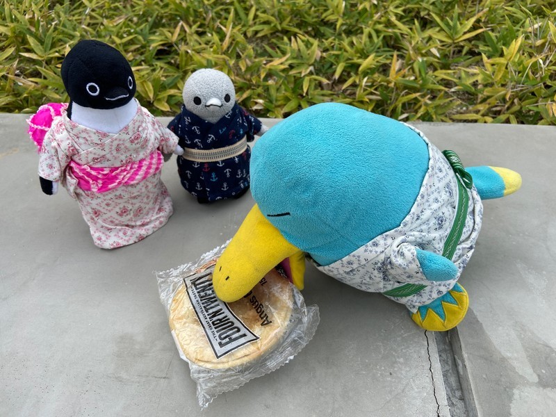 f:id:eo64air:20191019150100j:plain