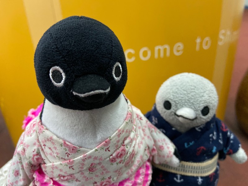 f:id:eo64air:20191021124843j:plain