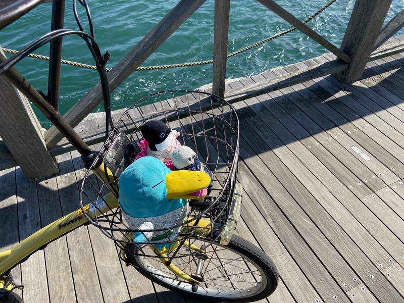 f:id:eo64air:20191021135313j:plain