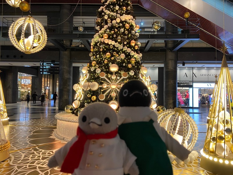 f:id:eo64air:20191204193239j:plain f:id:eo64air:20191204193239j:plain