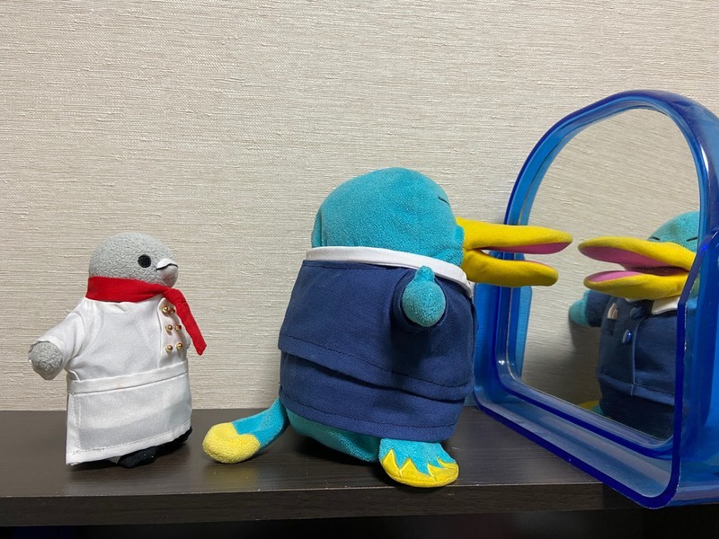 f:id:eo64air:20200315191244j:plain