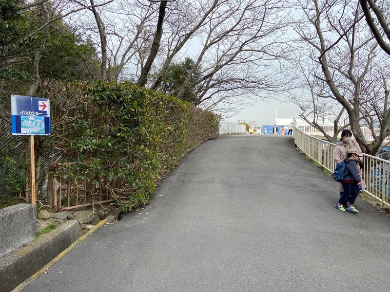 f:id:eo64air:20200326160608j:plain