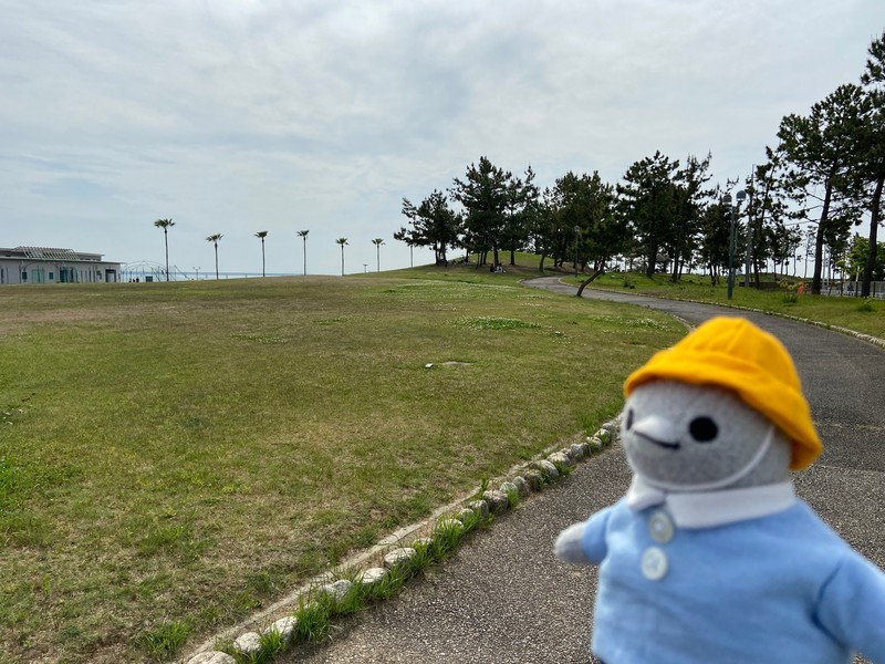 f:id:eo64air:20200505143828j:plain