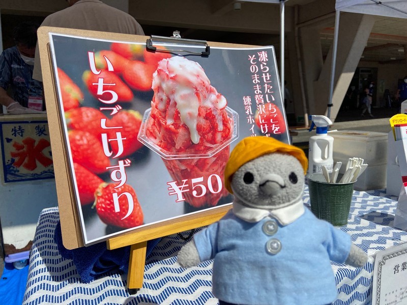 f:id:eo64air:20200906164102j:plain