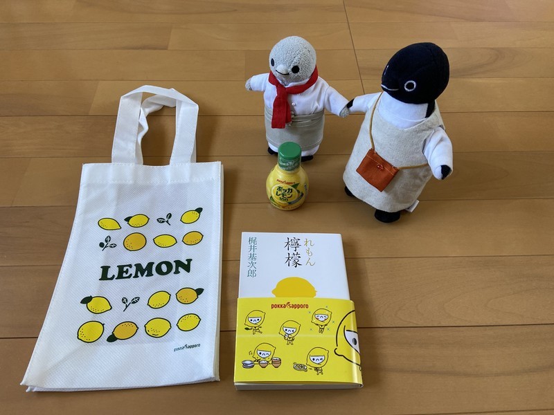 f:id:eo64air:20210206143153j:plain
