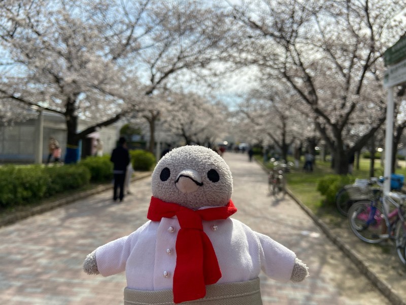 f:id:eo64air:20210327145410j:plain