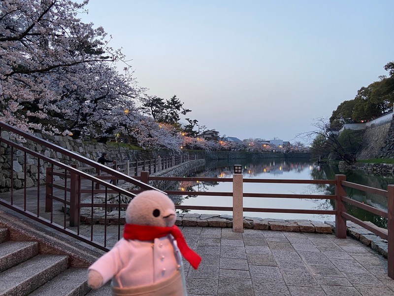 f:id:eo64air:20210329182402j:plain