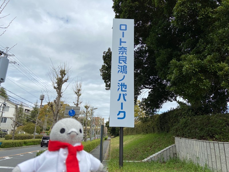 f:id:eo64air:20210403121127j:plain