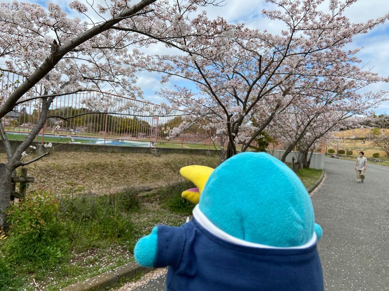 f:id:eo64air:20210403124624j:plain