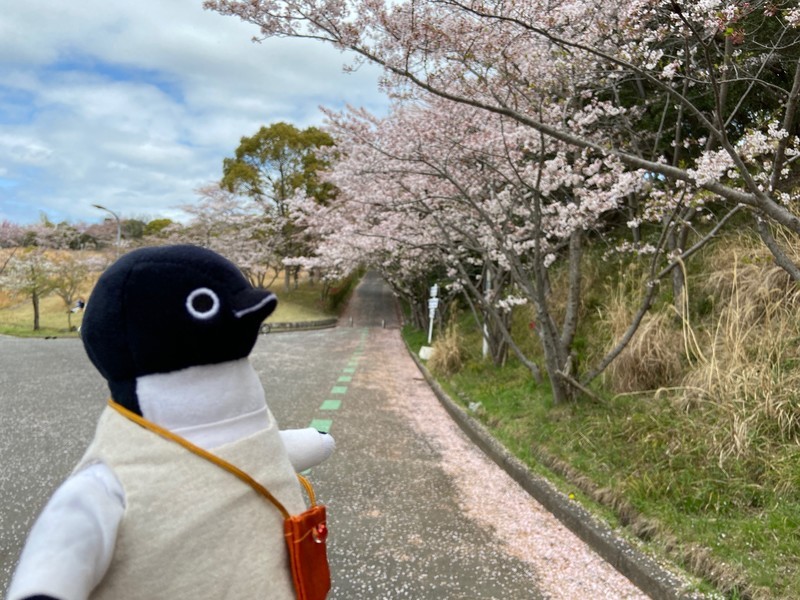 f:id:eo64air:20210403124640j:plain