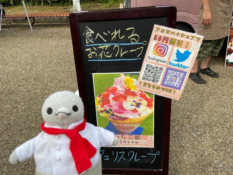 f:id:eo64air:20210703155039j:plain
