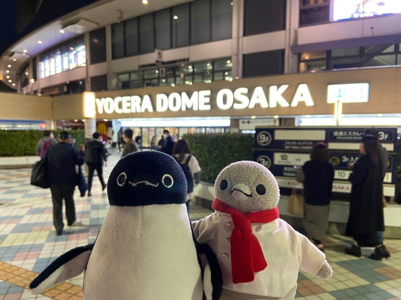 f:id:eo64air:20211110173210j:plain
